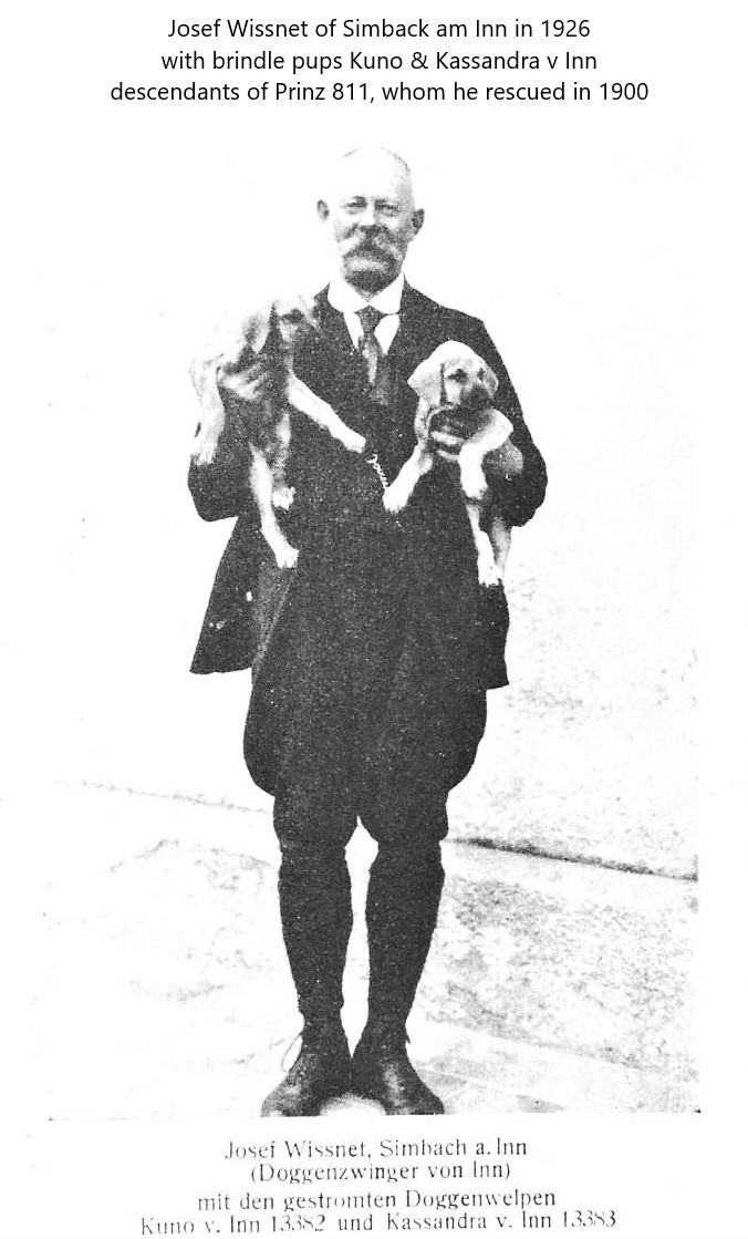 Kuno v Inn Kassandra v Inn